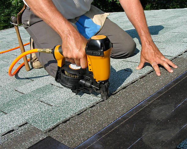 Best Roof Gutter Cleaning  in Crystal River, FL