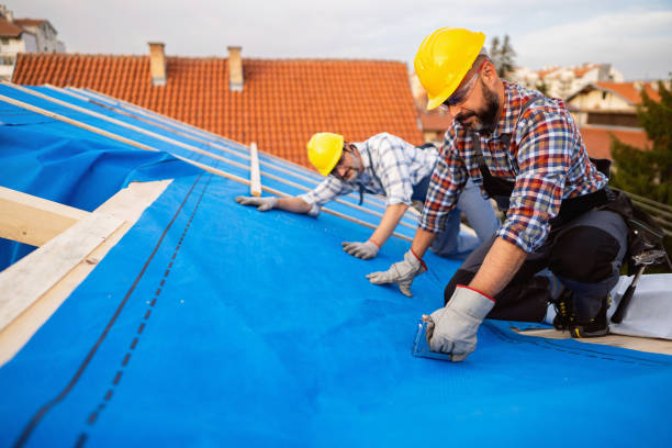 Best New Roof Installation  in Crystal River, FL