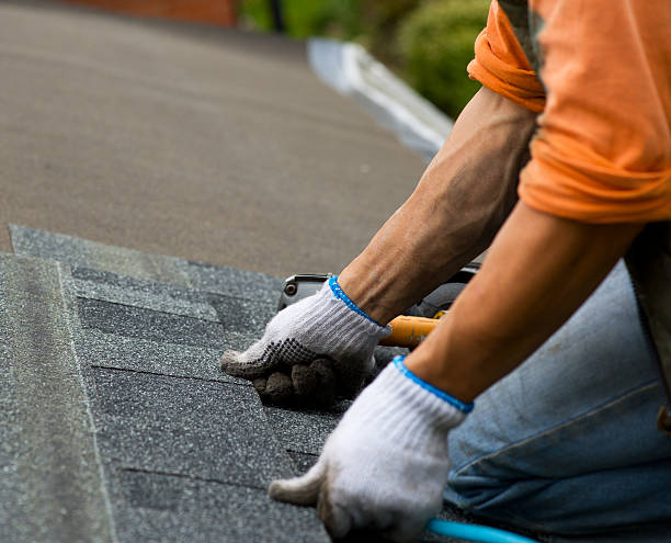 Best Roof Repair Services  in Crystal River, FL