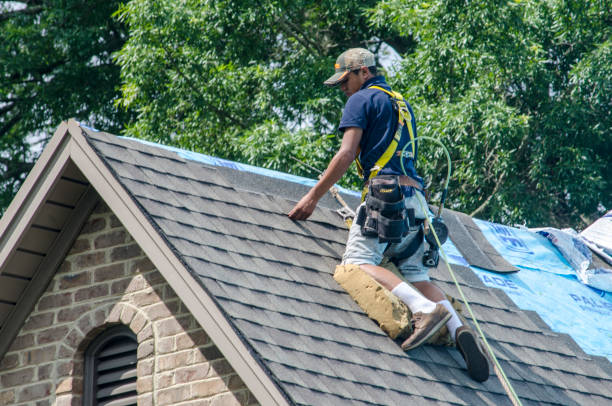 Best Roof Waterproofing Services  in Crystal River, FL
